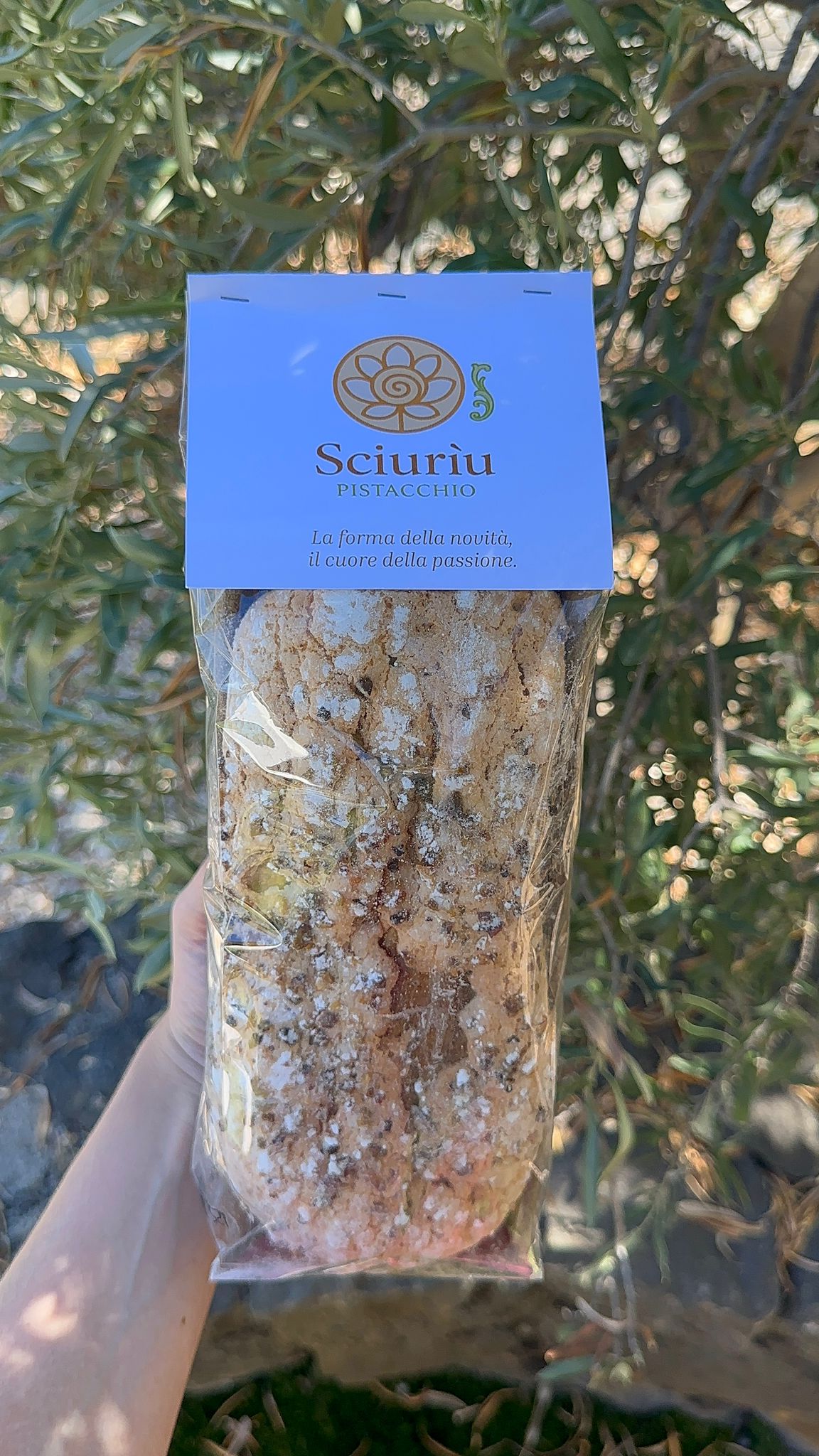 Sciuriu